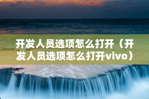 开发人员选项怎么打开（开发人员选项怎么打开vivo）