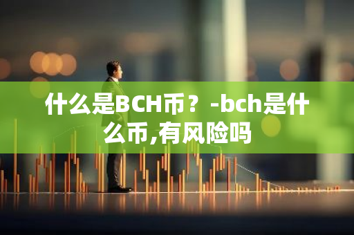 什么是BCH币？-bch是什么币,有风险吗