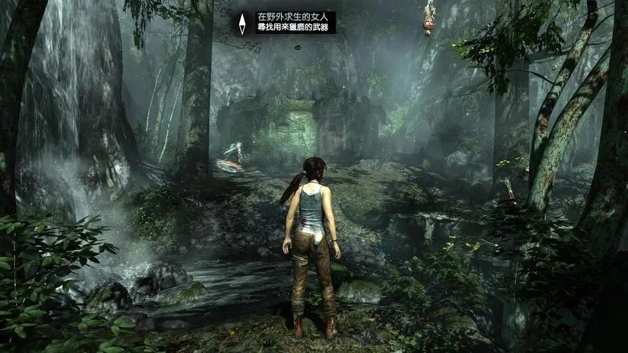 关于古墓丽影9中技能点获取的方式是怎样的？