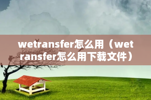 wetransfer怎么用（wetransfer怎么用下载文件）
