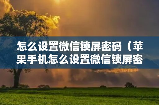 怎么设置微信锁屏密码（苹果手机怎么设置微信锁屏密码）