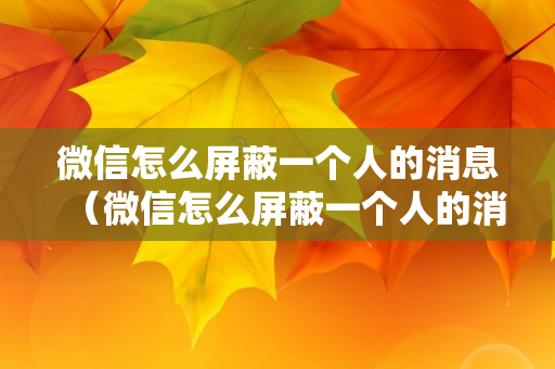微信怎么屏蔽一个人的消息（微信怎么屏蔽一个人的消息但是不拉黑）