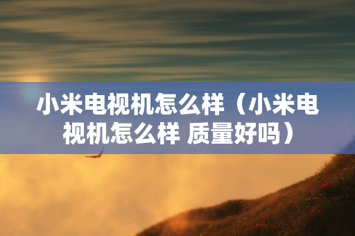 小米电视机怎么样（小米电视机怎么样 质量好吗）