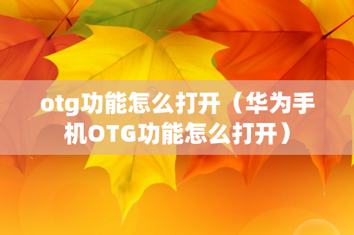 otg功能怎么打开（华为手机OTG功能怎么打开）