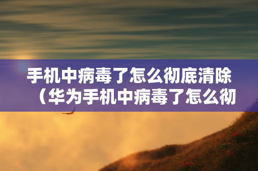 手机中病毒了怎么彻底清除（华为手机中病毒了怎么彻底清除）