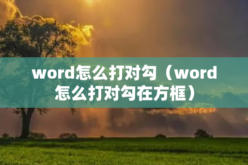 word怎么打对勾（word怎么打对勾在方框）