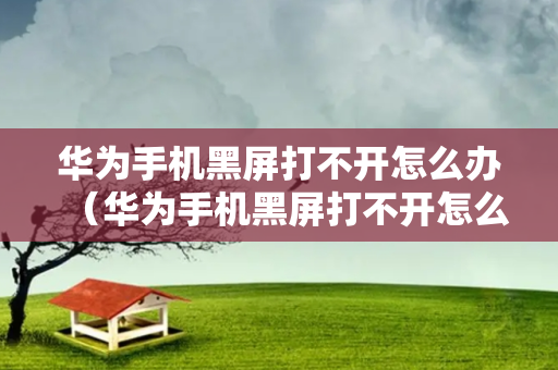华为手机黑屏打不开怎么办（华为手机黑屏打不开怎么办?,长按开机键只闪烁）