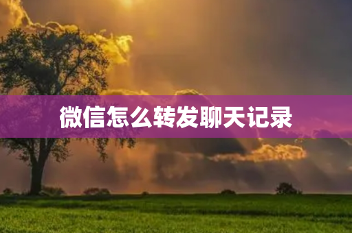 微信怎么转发聊天记录