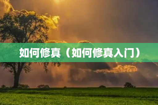 如何修真（如何修真入门）