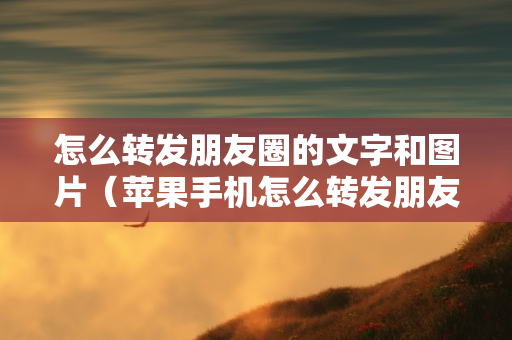 怎么转发朋友圈的文字和图片（苹果手机怎么转发朋友圈的文字和图片）