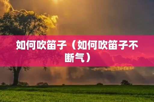 如何吹笛子（如何吹笛子不断气）