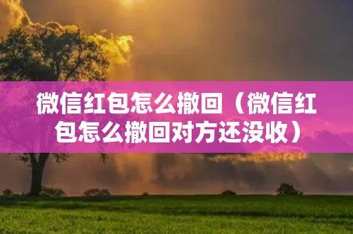 微信红包怎么撤回（微信红包怎么撤回对方还没收）