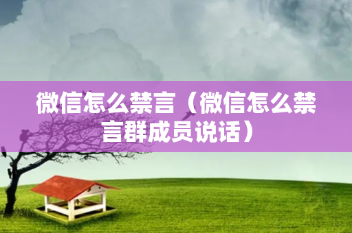 微信怎么禁言（微信怎么禁言群成员说话）