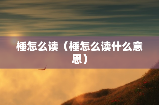 棰怎么读（棰怎么读什么意思）