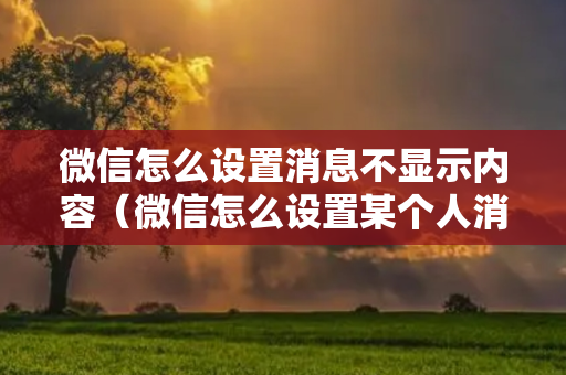 微信怎么设置消息不显示内容（微信怎么设置某个人消息隐藏）