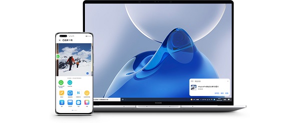 荣耀俱乐部可以卸载吗