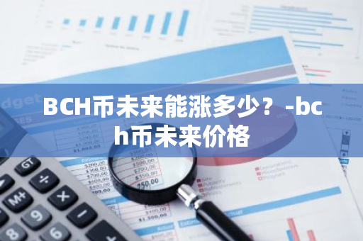 BCH币未来能涨多少？-bch币未来价格