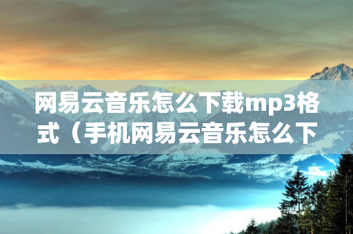 网易云音乐怎么下载mp3格式（手机网易云音乐怎么下载mp3格式）