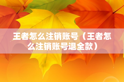 王者怎么注销账号（王者怎么注销账号退全款）