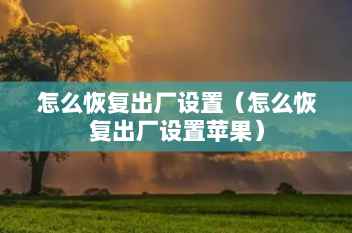 怎么恢复出厂设置（怎么恢复出厂设置苹果）