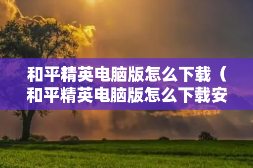 和平精英电脑版怎么下载（和平精英电脑版怎么下载安装）