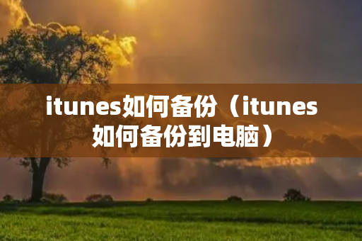 itunes如何备份（itunes如何备份到电脑）