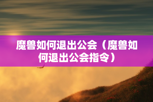 魔兽如何退出公会（魔兽如何退出公会指令）