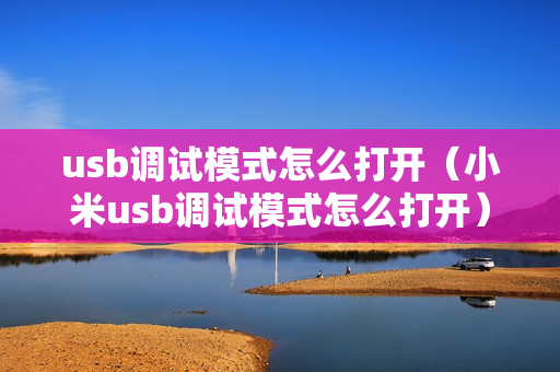 usb调试模式怎么打开（小米usb调试模式怎么打开）