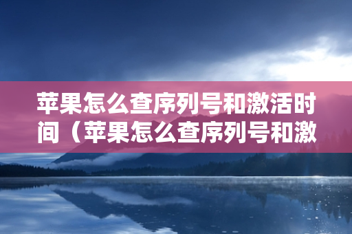 苹果怎么查序列号和激活时间（苹果怎么查序列号和激活时间查询）