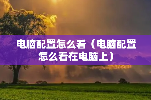 电脑配置怎么看（电脑配置怎么看在电脑上）