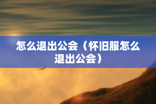 怎么退出公会（怀旧服怎么退出公会）