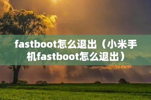 fastboot怎么退出（小米手机fastboot怎么退出）
