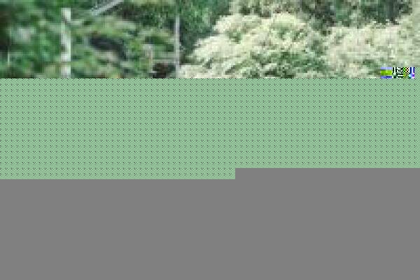 以太坊价格热（以太坊最新价格及行情）