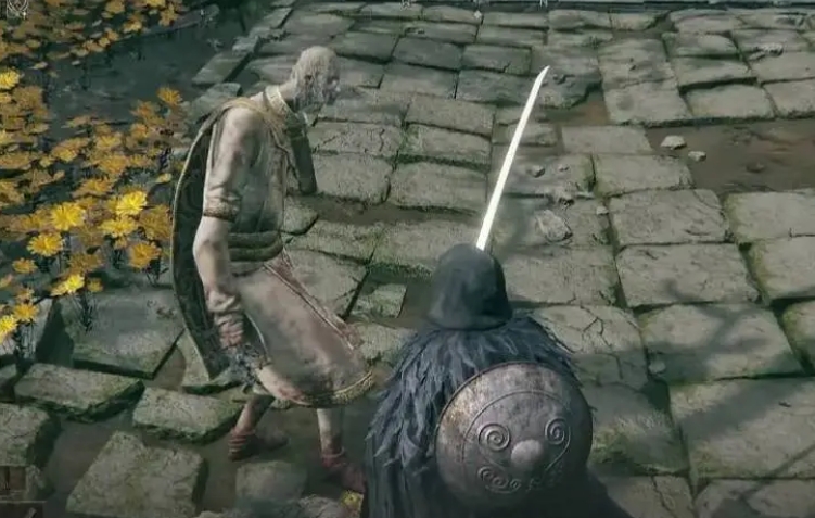 艾尔登法环小圆盾在哪