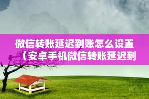 微信转账延迟到账怎么设置（安卓手机微信转账延迟到账怎么设置）