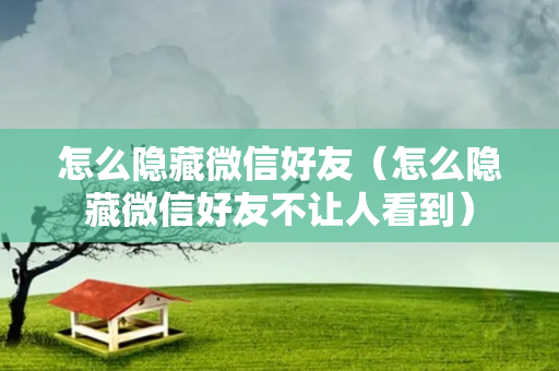 怎么隐藏微信好友（怎么隐藏微信好友不让人看到）