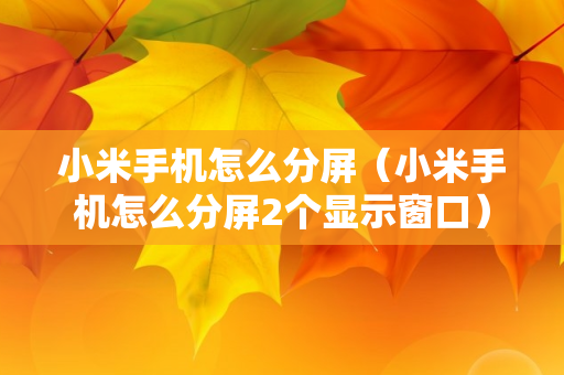 小米手机怎么分屏（小米手机怎么分屏2个显示窗口）