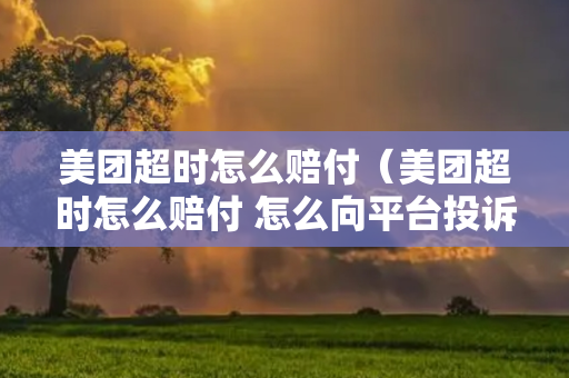 美团超时怎么赔付（美团超时怎么赔付 怎么向平台投诉）