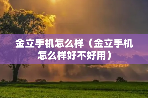 金立手机怎么样（金立手机怎么样好不好用）
