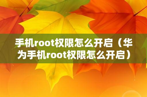 手机root权限怎么开启（华为手机root权限怎么开启）