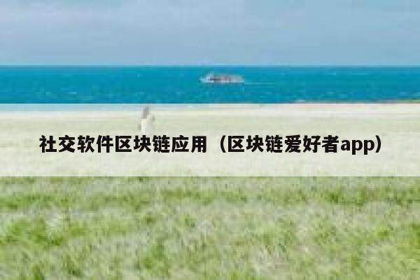 社交软件区块链应用（区块链爱好者app）