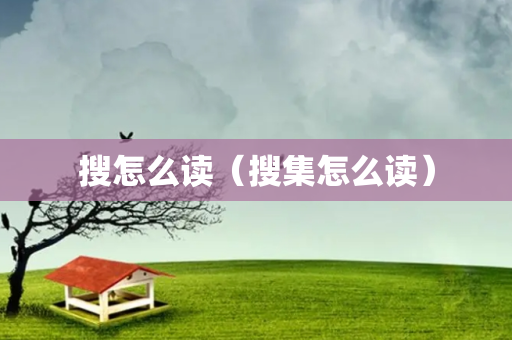 搜怎么读（搜集怎么读）
