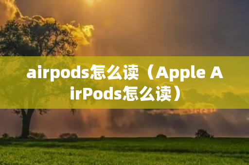 airpods怎么读（Apple AirPods怎么读）