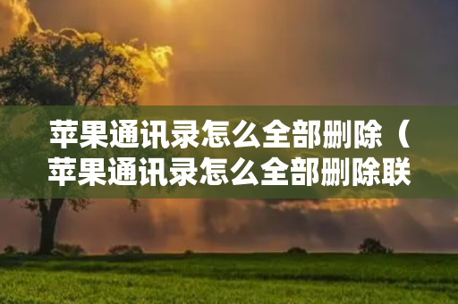 苹果通讯录怎么全部删除（苹果通讯录怎么全部删除联系人）