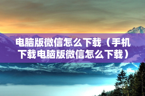 电脑版微信怎么下载（手机下载电脑版微信怎么下载）