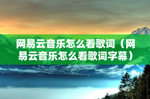 网易云音乐怎么看歌词（网易云音乐怎么看歌词字幕）