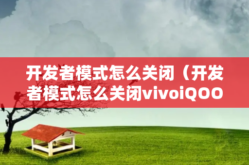 开发者模式怎么关闭（开发者模式怎么关闭vivoiQOO）