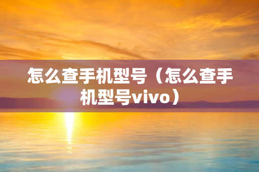 怎么查手机型号（怎么查手机型号vivo）