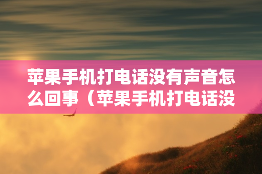 苹果手机打电话没有声音怎么回事（苹果手机打电话没有声音怎么回事免提也不行）
