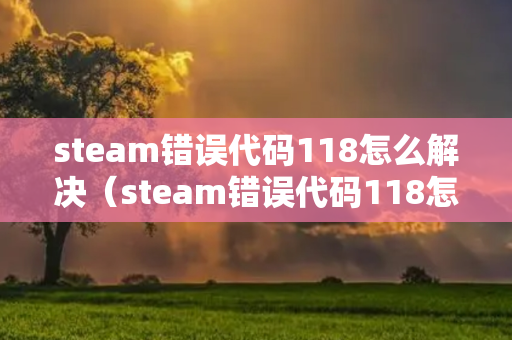 steam错误代码118怎么解决（steam错误代码118怎么解决?）
